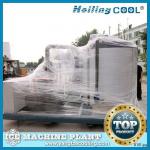 25Ton/day Sea water flake machine ice for food preservation