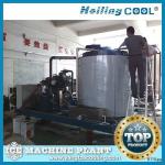30Ton/day Sea water flake machine ice for food preservation