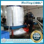 10Tons/Day Industrial Flake Ice Machine with big plant project