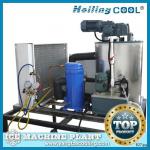 Marine water flake ice machine 1000kg/day for drinking