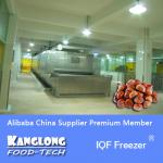 SSD Series Tunnel IQF Freezer For Chestnut
