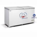 chest freezer (2 door ,BD/C-420,BD/C520)