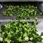 Fluidized freezer IQF fruit vegetable freezer-
