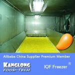 SLD IQF Fruits Freezer For Mango Dices-