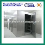 blast freezer for food