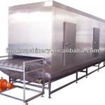 tunnel blast quick freezer(IQF freezer)for food processing