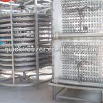 2013 the most popular quick freezing equipment single spiral freezer