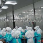 the most widely application scope quick freezing equipment double spiral freezer-