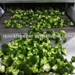 2013 the most popular quick freezing machine mesh belt tunnel freezer