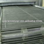 IQF SDW Series Mesh Belt Tunnel Freezer