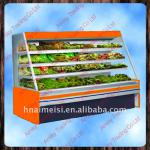Commercial food and vegetable display freezer-