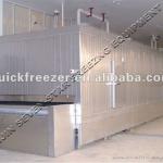 fish tunnel freezer