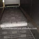 Sea Food IQF Freezer with Customized and Modular Design