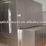 SDW-500 mesh belt tunnel freezer for beef/lamb/poultry/bakery frozen