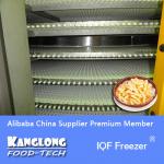 SSD Series Tunnel IQF Freezer For French Fries