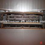 Larger Capacity Quick Freezer Multi-Layer Tunnel freezer