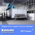 High Quality SSD IQF industrial blast freezer panels stainless