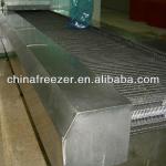 Continuous Tunnel Freezer