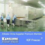 High Quality SSD IQF continuous batch freezer