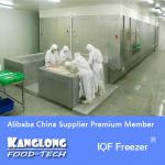 SSD Tunnel Vegetable IQF Freezer/Quick Freezing Machine