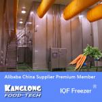 High Quality SLD Vegetable IQF Freezer For Carrot