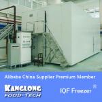 IQF SLD Fluidized Blast Freezer machine