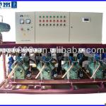Bitzer Multi Compressor Condensing Unit for Industrial Refrigeration
