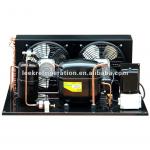 Cold room Danfoss hermetic compressor condensing unit-