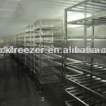 Thawing Room/Unit/System/Installation used in Food Processing Companies/Meat Packing Plant/Fish Factory/Seafoods Inc.