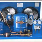 France Maneurop Compressor Condensing Units For Fruit/vegetables