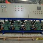 Bitzer low temperature screw compressor for cold storage