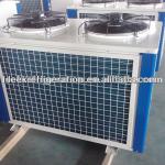 Bitzer semi-hermetic compressor air cooled condensing unit-