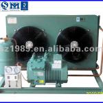 Bitzer small compressor condensing Unit for cold room