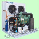 2-stage Low Temperature Condensing Unit (With Bitzer 2-stage Compressors)-