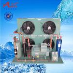 Cold Room Condensing Unit