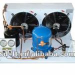 Hermetic Compressor Air Cooled Condensing Units for Food, Vegetable and Fruit Cold Room, Freezer and Deep-freezing Room Storage