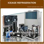 ICEAGE Refrigeration Compressor Supplier