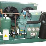 Cold room Bitzer semi-hermetic two-stage compressor condensing unit