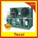 Bitzer air-cooled condensing unit for refrigeration cold storage