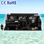 Made in china freezing condensing units for supermarket equipment ice machine coldroom showcase sland freezers Cooler
