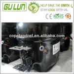 Stay Cool with us On Sale L Series Piston Refrigeration Compressor