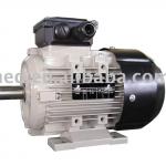 Aluminum housing motor