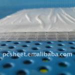 Many different kinds of Multi-wall polycarbonate sheet