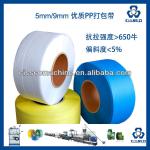 CARTON PLASTIC STEEL PACKING STRAP WITH CE ATANDARD