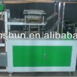 Ruian Xinshun Brand PE Disposable Glove Machine-