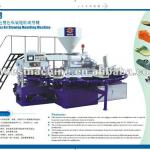 All Plastic Shoe Injection Moulding Machine