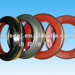 TB seal oil seal