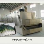 Convey Belt Dryers For Welsh Onion / Chinese Onion