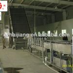 DWT Series Vegetable Dryer