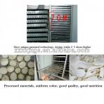 2013 expand 60-120trays vegetable and fruit dryer